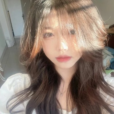 一个女学生的日记 海报