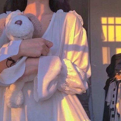 盛女借种 海报